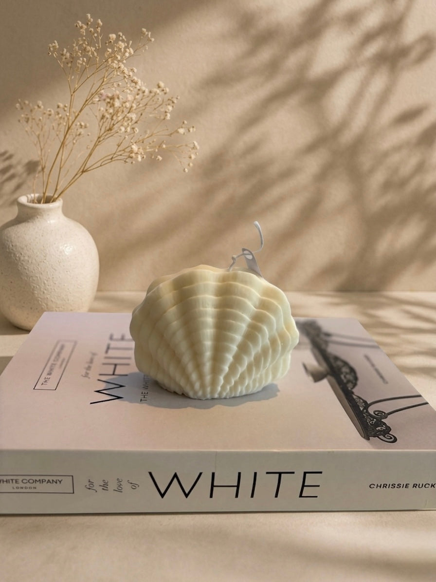 Sea Shell Candles