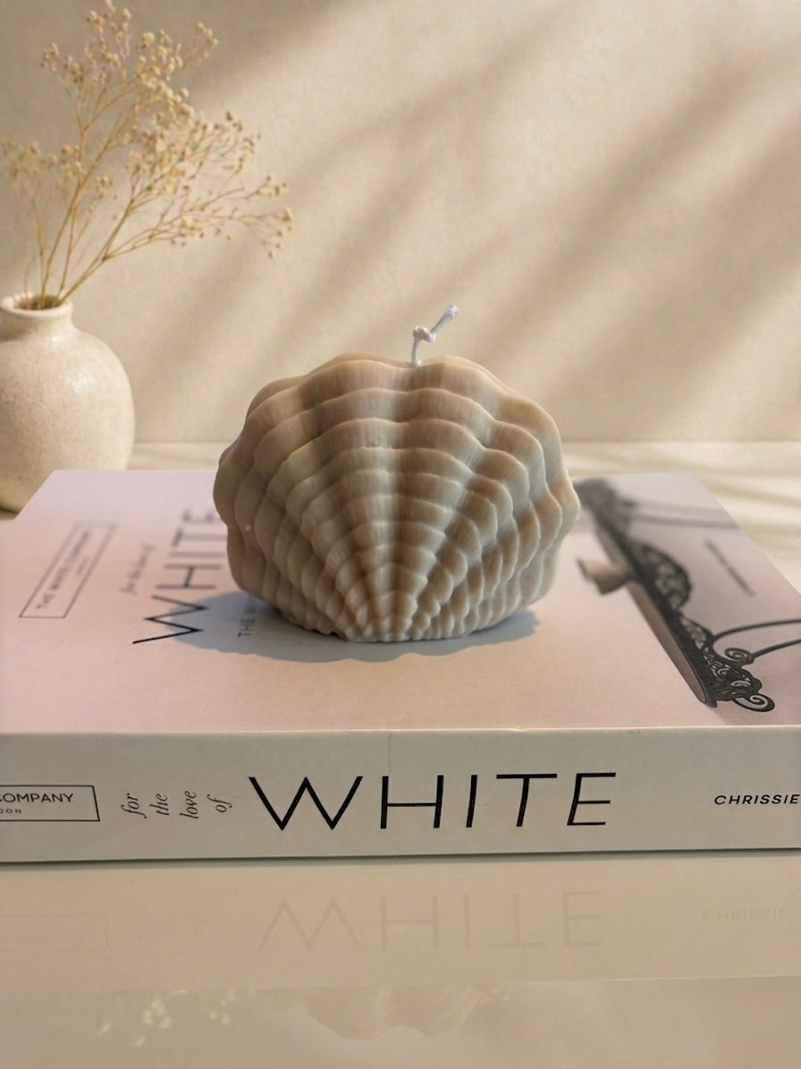 Sea Shell Candles